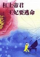 妃君则嫁:落跑王妃【完本】