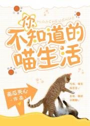 你不知道的喵生活