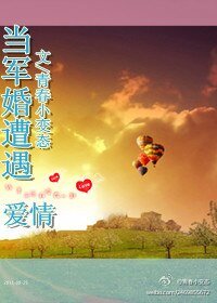 当军婚遭遇爱情/上校先生,乃就从了我吧!