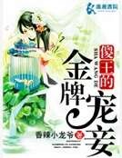 傻王的金牌寵妾