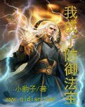 我成了防御法纽