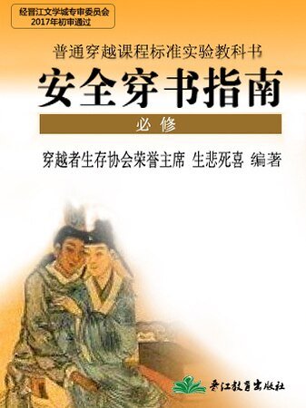 安全穿書指南