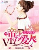 完美婚宠:帝少vip爱人