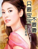 只要宝宝不要妻