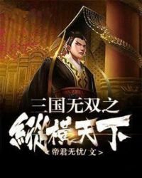 三国无双之纵横天下