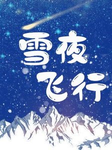 雪夜飛行