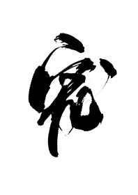 白月光失憶後成了我影衛