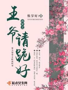 清穿之王爷请跪好