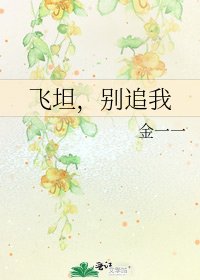 飞坦,别追我
