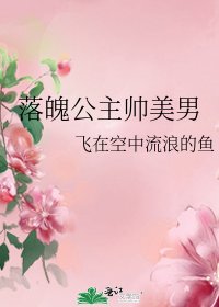 落魄公主帅美男
