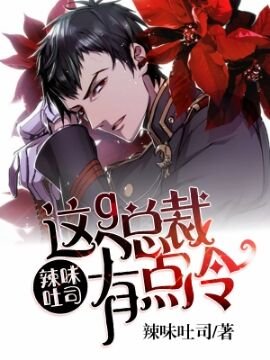 这个总裁有点冷