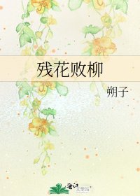 残花败柳
