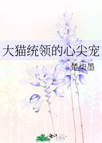 大貓統領的心尖寵