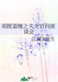 胡搅蛮缠之夫夫访问座谈会