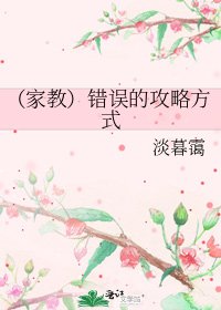 (家教)错误的攻略方式