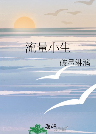 流量小生