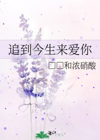 追到今生来爱你