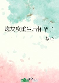 炮灰攻重生后怀孕了