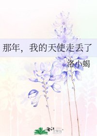 那年,我的天使走丢了