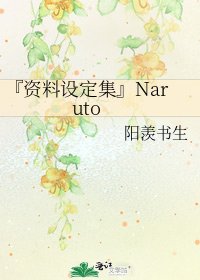 『資料設定集』Naruto