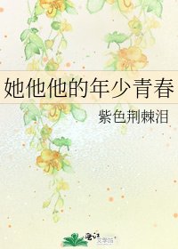 她他他的年少青春