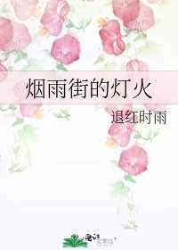 煙雨街的燈火