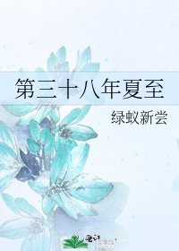 第三十八年夏至