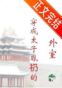 穿成太子胤礽的外室