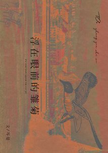 浮在眼前的雛菊