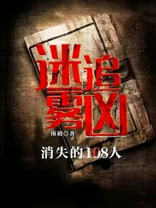 迷雾追凶:消失的108人