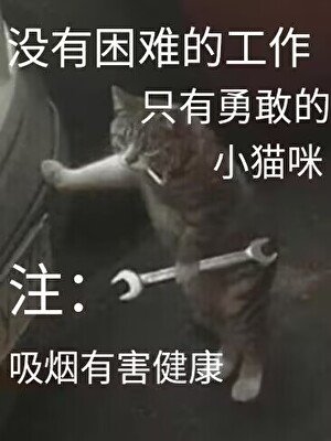 无限打工崽