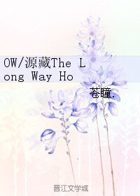(BL/守望先鋒同人)OW/源藏The Long Way Home